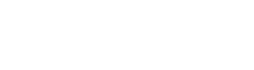 Duluth Forge logo