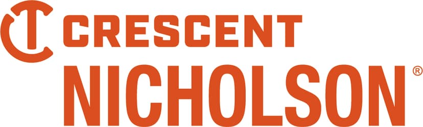 NICHOLSON logo