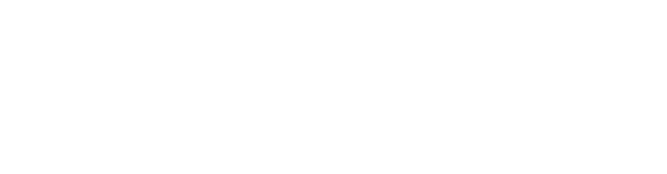 SmartBidet