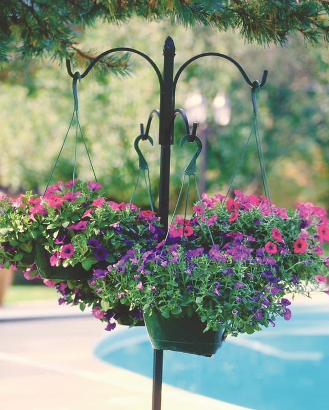 Plant Hangers