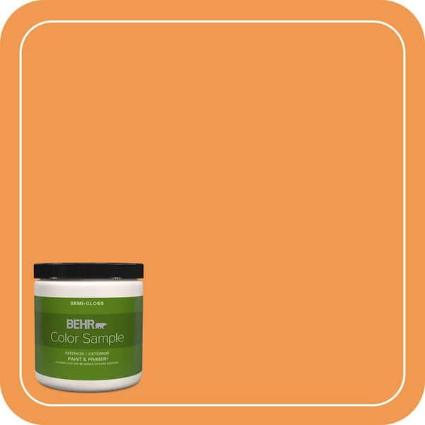 BEHR PREMIUM PLUS #270B-6 Autumn Orange Enamel Low Odor & Primer (3)