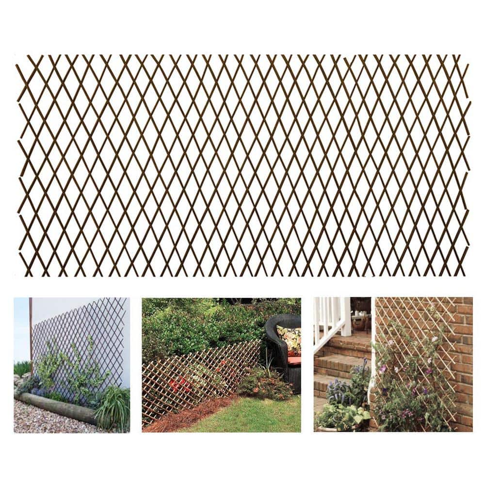 Angel Sar 3 ft. x 7.67 ft. Expandable Pressure Treated Willow Lattice for Climbing Plants Vine Ivy Rose Cucumbers (4-Pack)