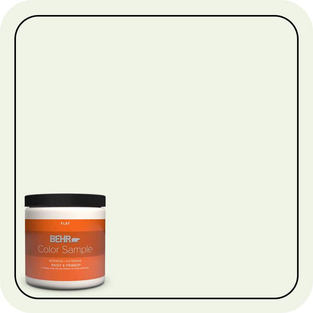 BEHR PREMIUM PLUS 8 oz. #440A-1 Parsnip Flat Interior/Exterior Paint & Primer Color Sample