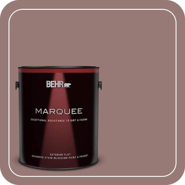 BEHR PREMIUM PLUS #130F-5 Mushroom Basket Enamel & Primer Color Sample (2)