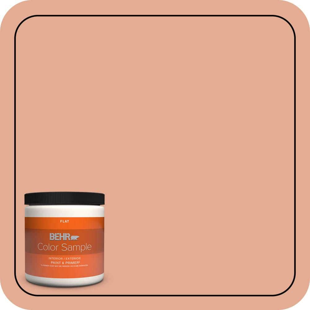 BEHR PREMIUM PLUS 1 gal. #M200-4 Coral Cloud Semi-Gloss Enamel Low Odor Interior Paint & Primer (1)