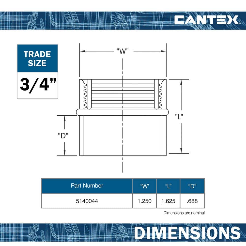 .75 in. PVC Female Conduit Fitting for Cantex PVC Conduits (2)