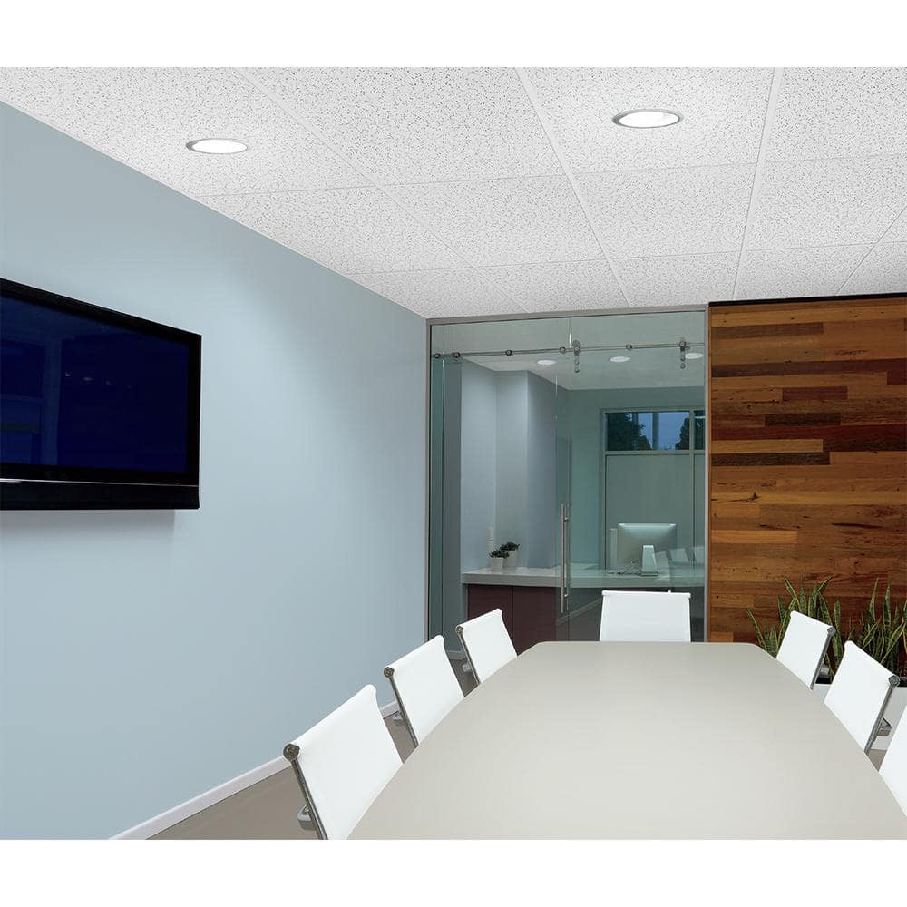 Armstrong CEILINGS Random Textured 24 in. x 48 in. Lay-in Ceiling Tile (2400 sq. ft./pallet) (2)