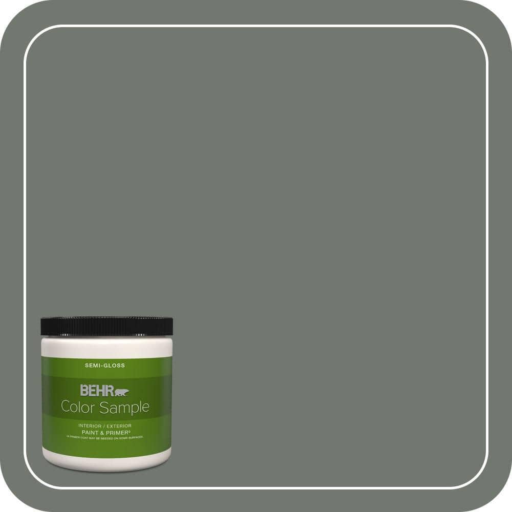 BEHR PREMIUM PLUS #T17-13 In the Woods Enamel & Primer Color Sample (1)