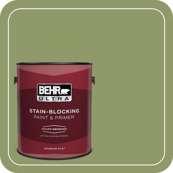 BEHR PREMIUM PLUS #HDC-SP14-2 Exotic Palm Interior/Exterior Paint & Primer Color Sample (4)
