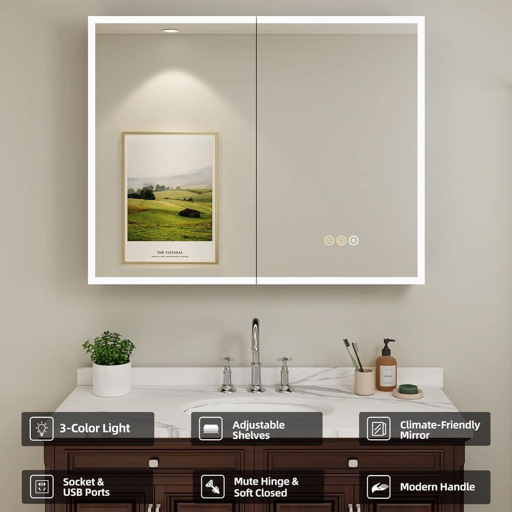 HBEZON Cloris 40 in. W x 32 in. H Rectangular Aluminum Black Medicine Cabinet with Mirror and Light (2)
