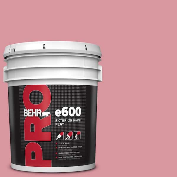BEHR PRO 5 gal. #M150-4 Glow Pink Flat Paint (2)