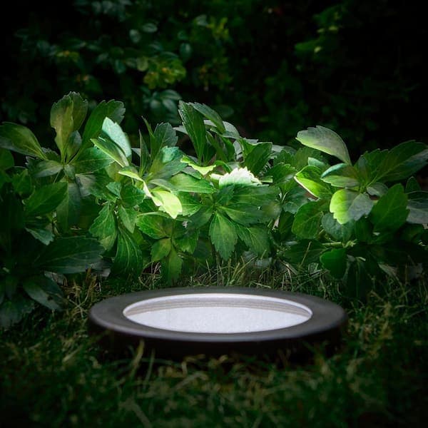 Hampton Bay 600 Lumen Low Voltage 6 in. Black LED Outdoor InGround Well Light Adjustable Light Color Integrated LED (1-Pack)