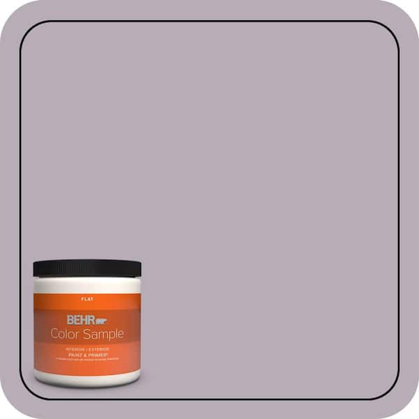 BEHR PREMIUM PLUS 8 oz. #670F-4 Silverberry Flat Interior/Exterior Paint & Primer Color Sample (2)