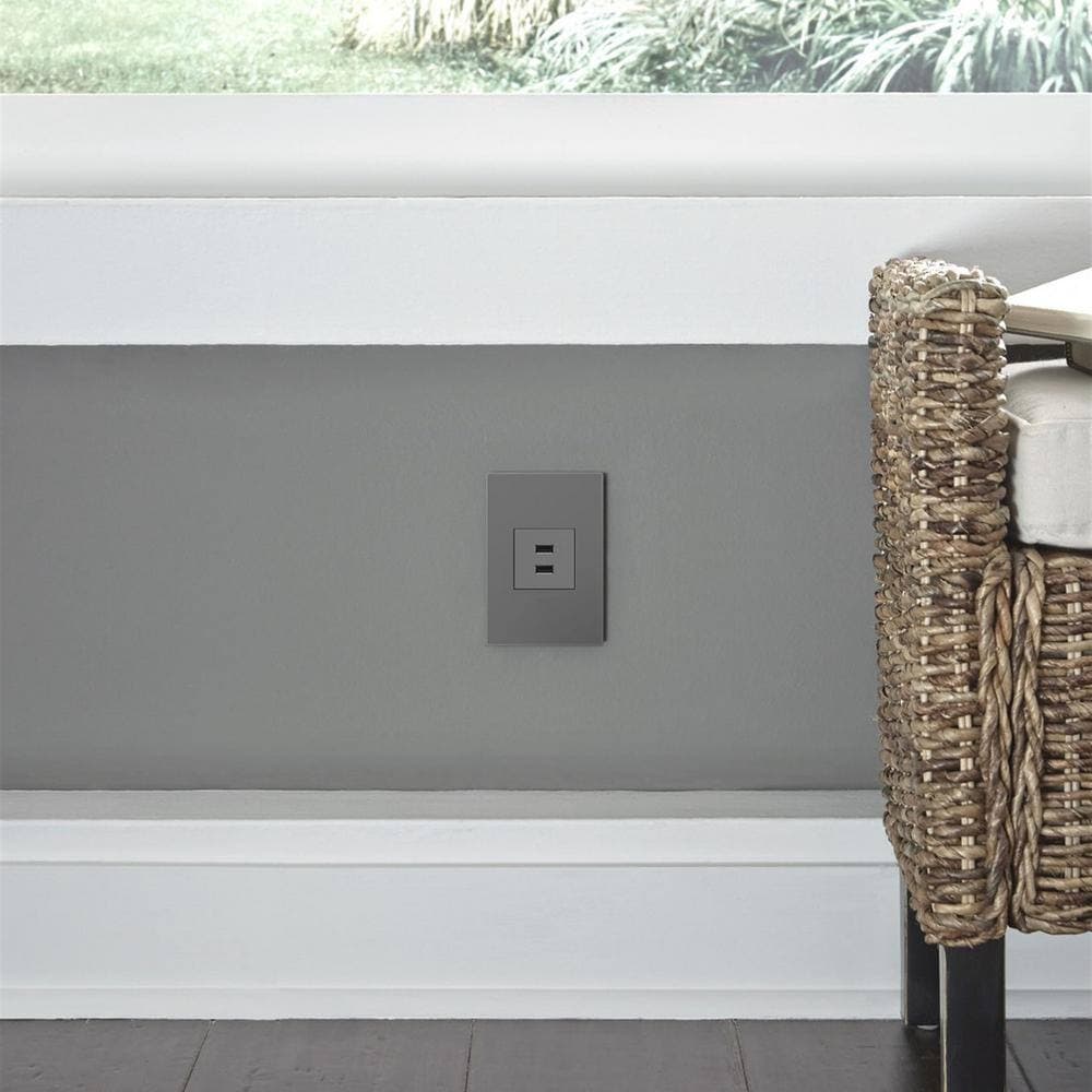 Legrand adorne 6.0 Amp Ultra-Fast USB Type A/A Duplex Outlet (2)