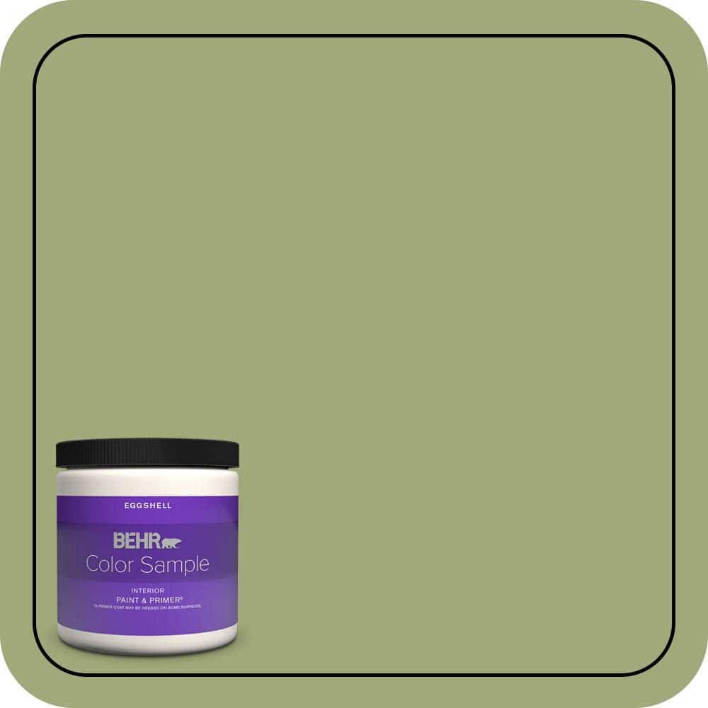 BEHR PREMIUM PLUS #T18-16 Nurturing Enamel Low Odor & Primer (1)