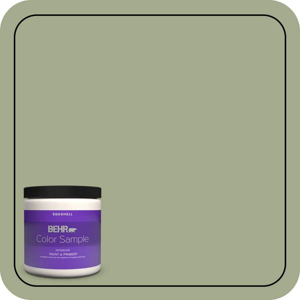 BEHR PREMIUM PLUS #PMD-36 Mountain Sage Enamel & Primer Color Sample