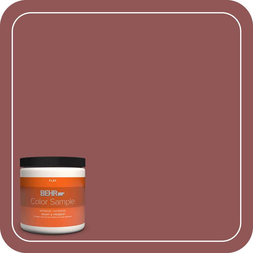 BEHR PREMIUM PLUS #MQ1-16 Carpe Diem Enamel Low Odor & Primer (1)