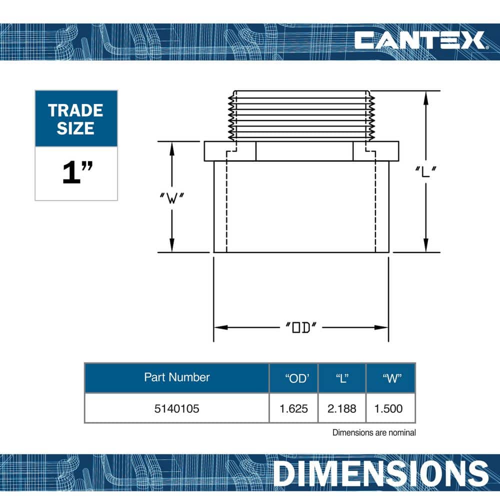 PVC Male Terminal Conduit Fitting for Cantex PVC Conduits (2)
