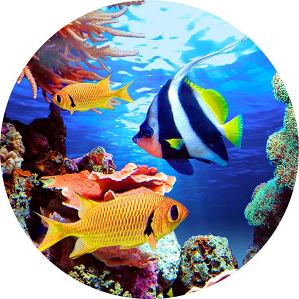 Projectables Tropical Fish Automatic LED Night Light (4)