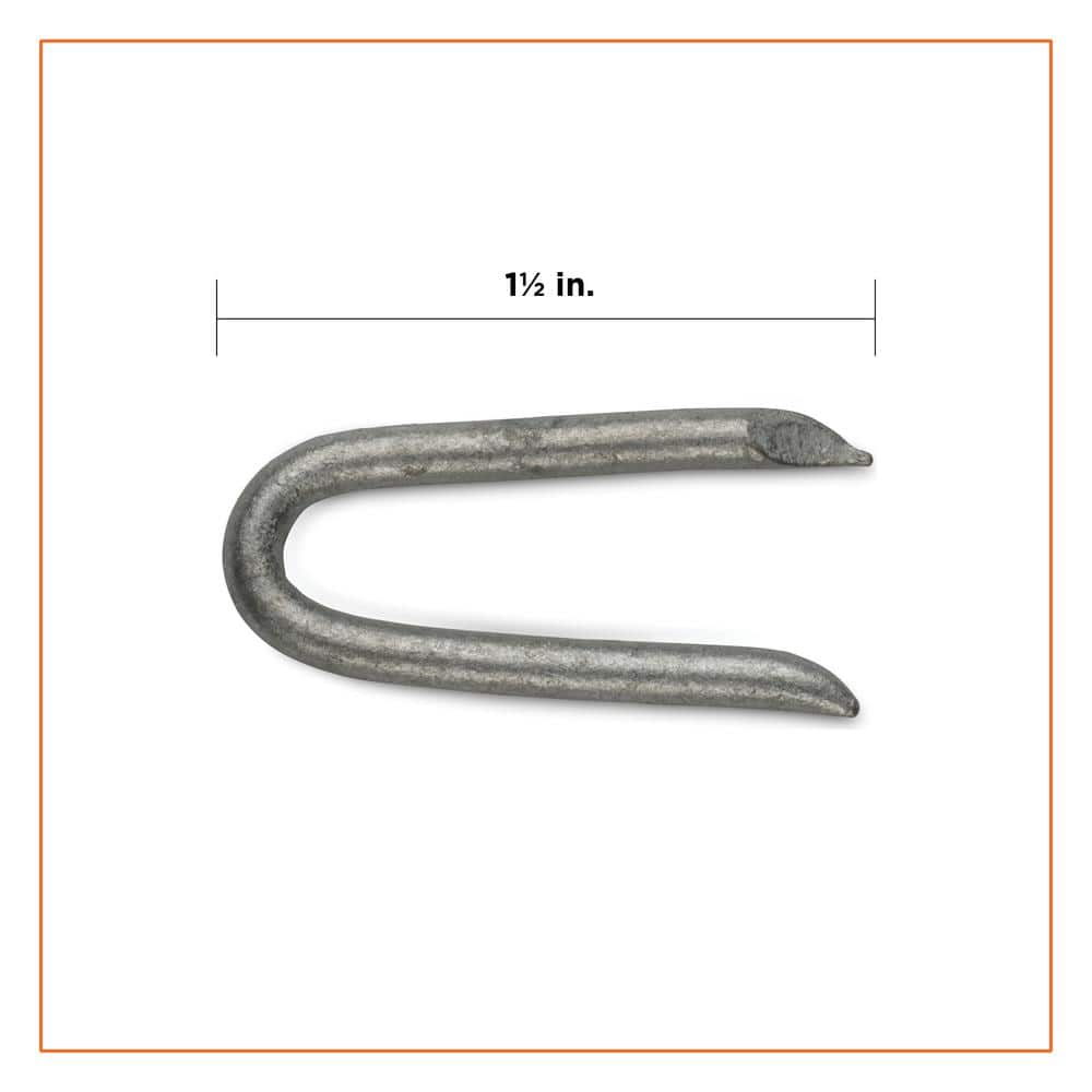 PRO-FIT 1-1/2 in. Hot Dipped Galvanized Fence Staple 1 lb. (71-Count) (2)