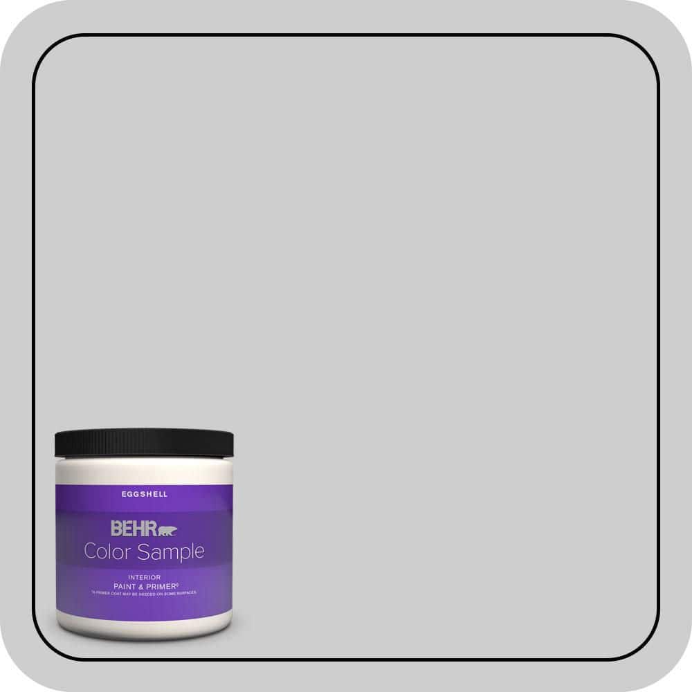 BEHR PREMIUM PLUS #770E-2 Silver Screen color Enamel & Primer Color Sample