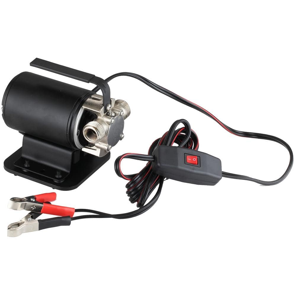 LEO 1/10 HP 12-Volt Utility Transfer Pump (3)