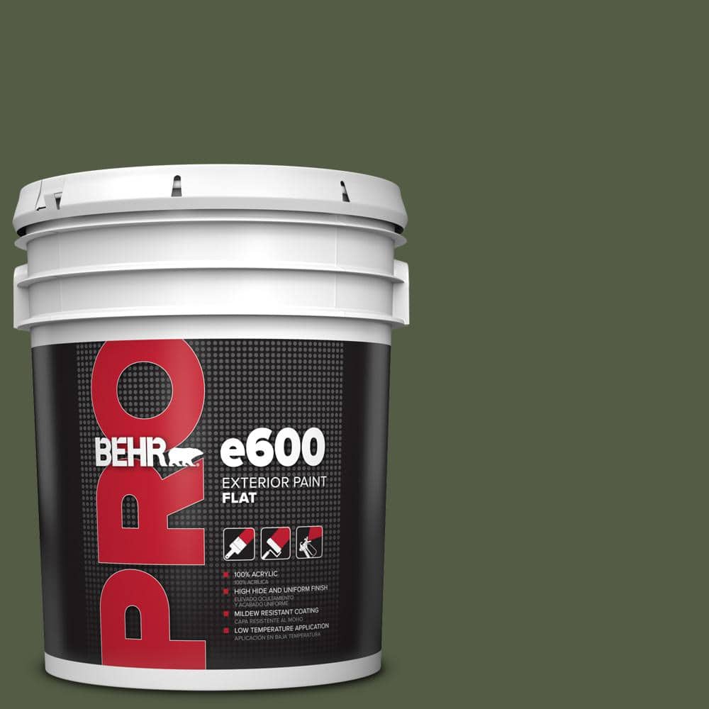 BEHR PRO 5 gal. #MQ6-54 River Forest Flat Exterior Paint