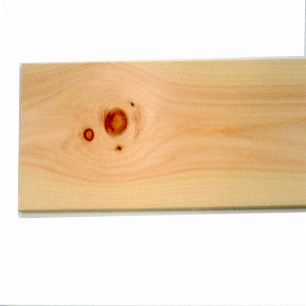 1 in. x 12 in. x 10 ft. Common Board