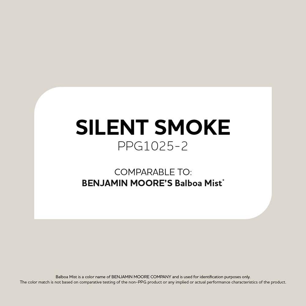 Glidden PPG1025-2 Silent Smoke Sample (2)