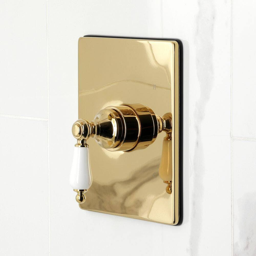 Kingston Brass Demure 1-Handle 1-Spray Tub and Shower Faucet 1.8 GPM in Polished Brass (3)