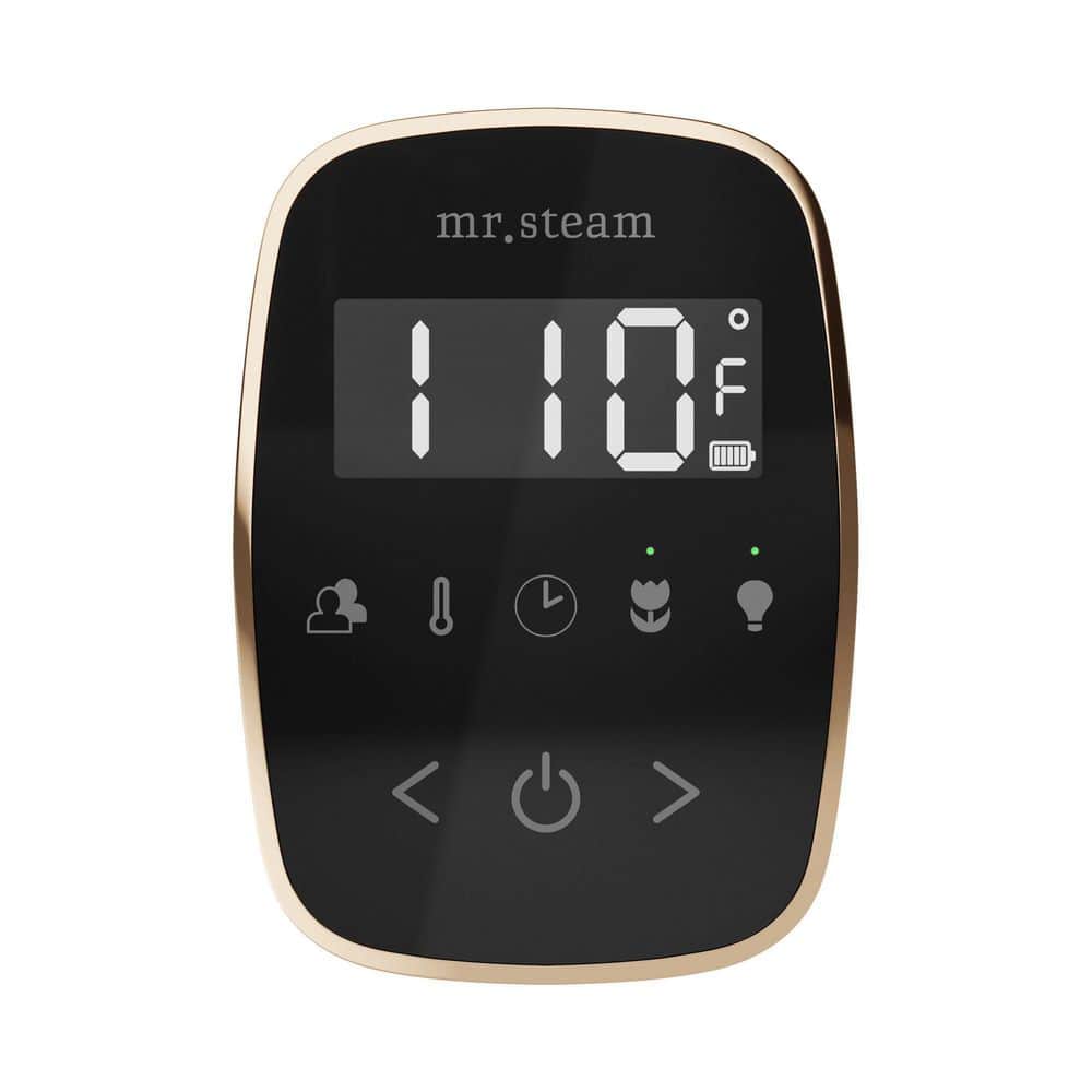 Mr. Steam ButlerTouch Steam Shower Control Package with TempoTouch Control and Linear Steamhead (1)