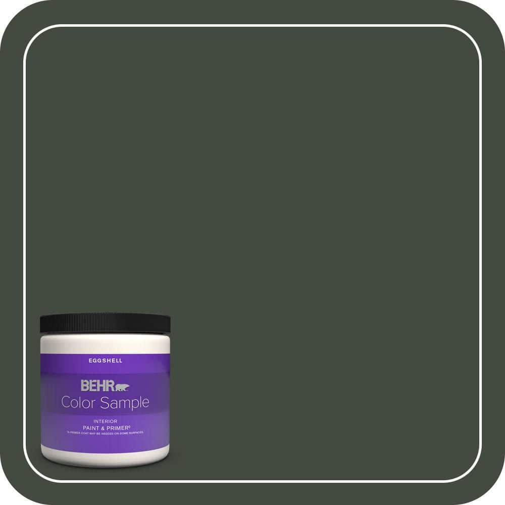 BEHR PREMIUM PLUS #BXC-12 Deep Forest Flat Low Odor & Primer (1)