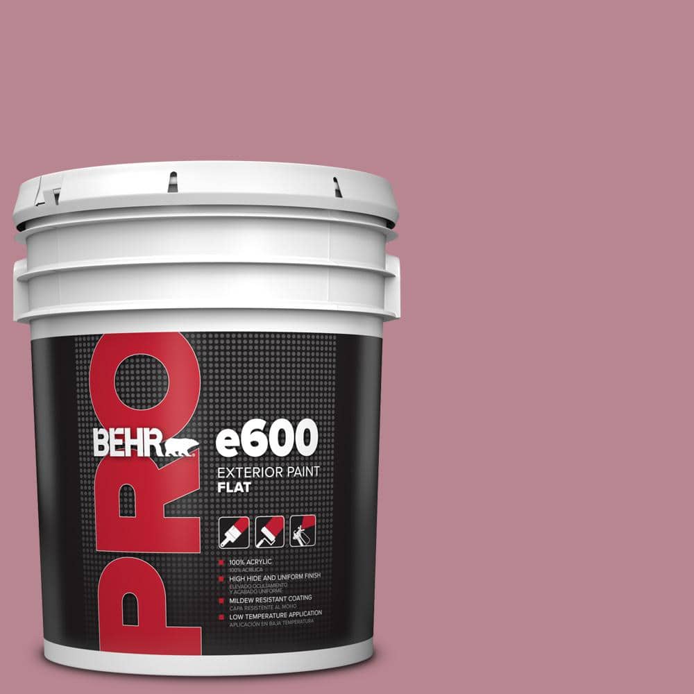BEHR PRO 5 gal. #BIC-19 Berry Blush Flat Exterior Paint