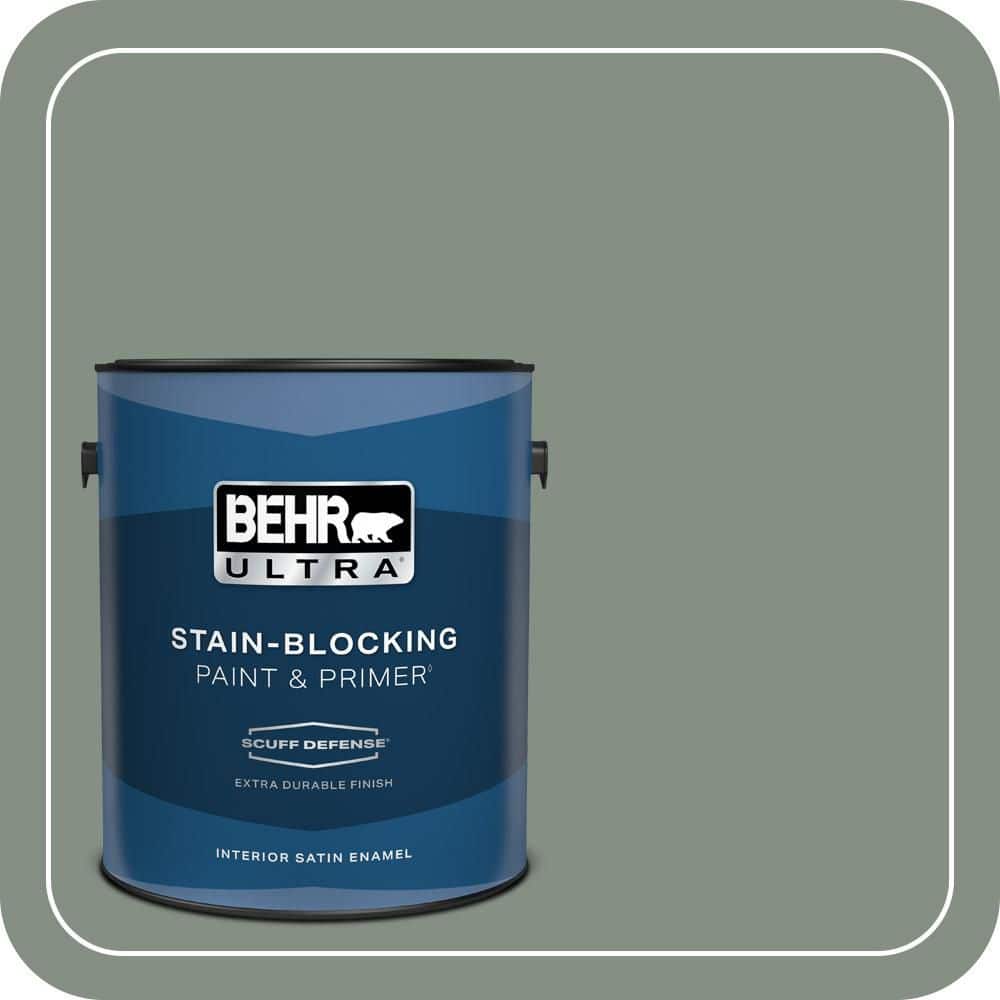 BEHR PREMIUM PLUS #ECC-49-3 Forest Moss Interior/Exterior Paint & Primer Color Sample (1)