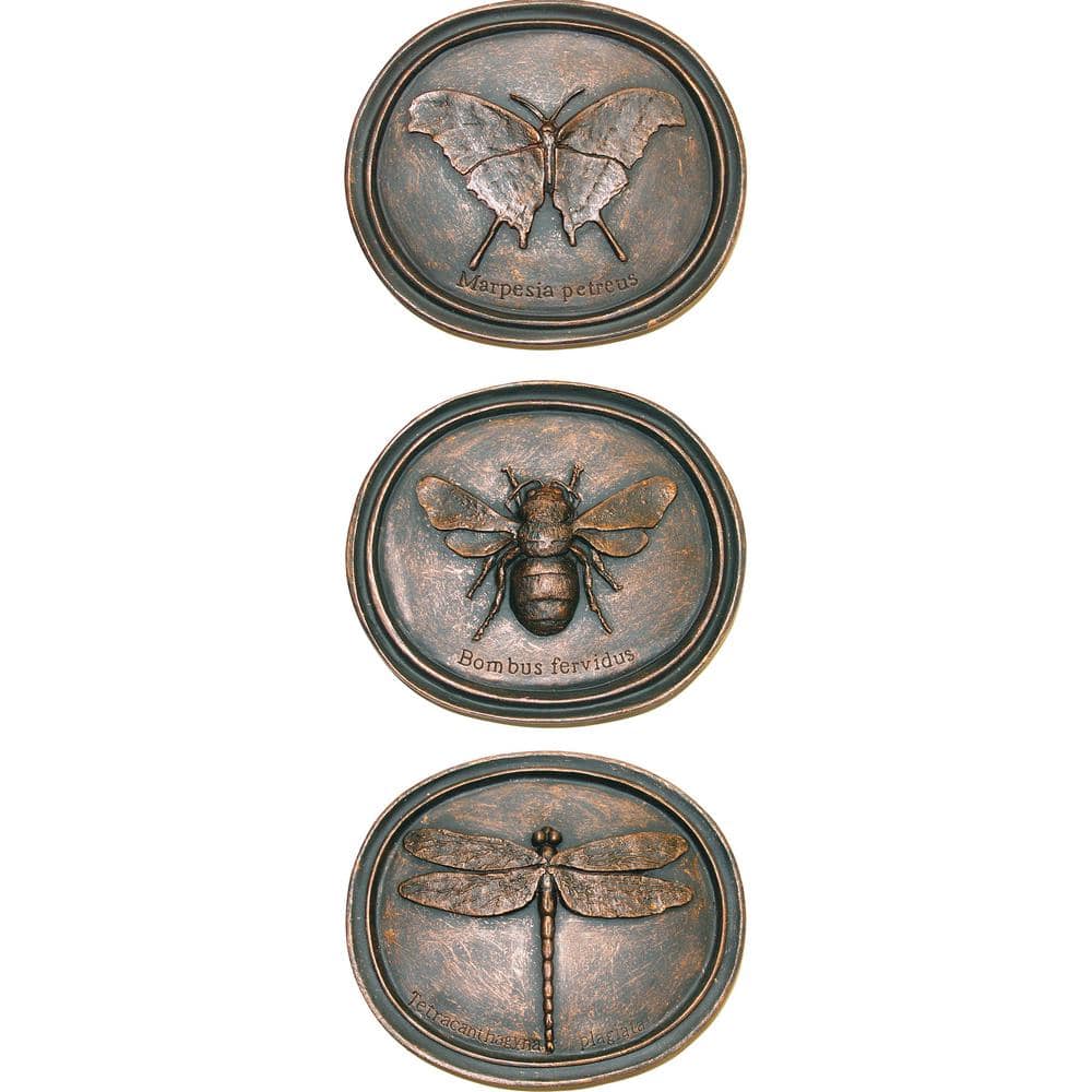 Unbranded Oval Entomology Plaques (Set of 3) (2)