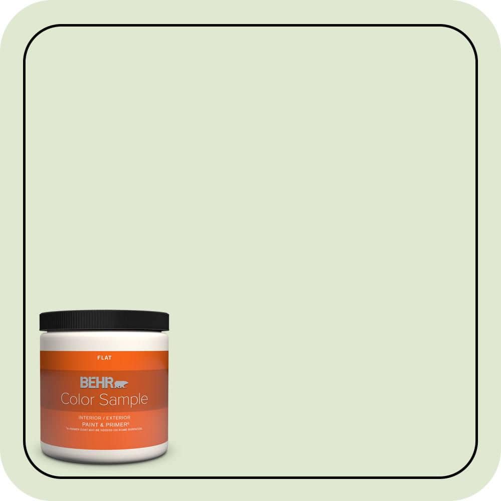 BEHR PREMIUM PLUS #M370-2 Cabbage Leaf Flat Low Odor & Primer (1)