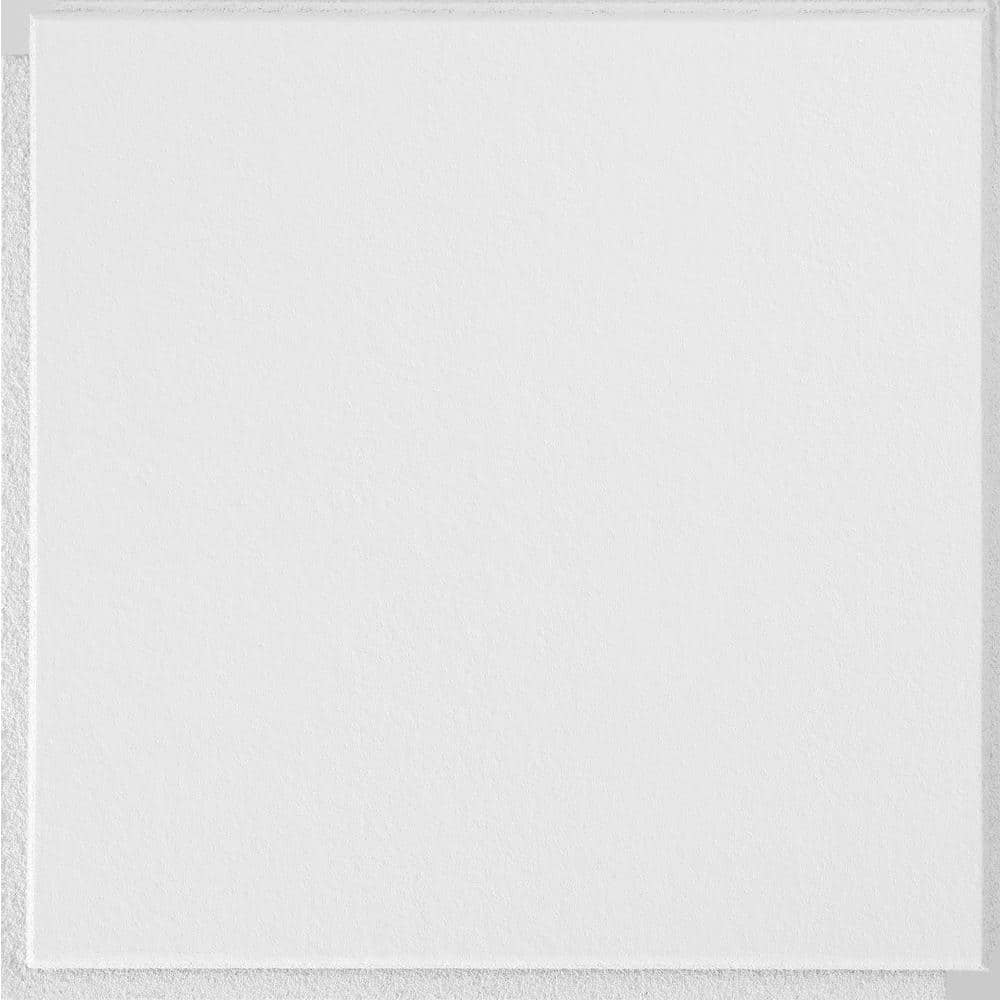 Armstrong CEILINGS Washable White 1 ft. x 1 ft. Clip Up or Glue Up Ceiling Tile (40 sq. ft./case)