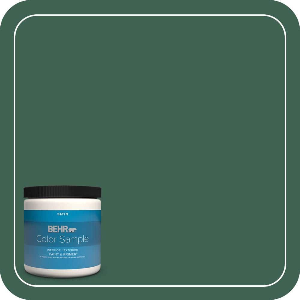 BEHR PREMIUM PLUS #M430-7 Green Agate Enamel Interior/Exterior Paint & Primer Color Sample (1)