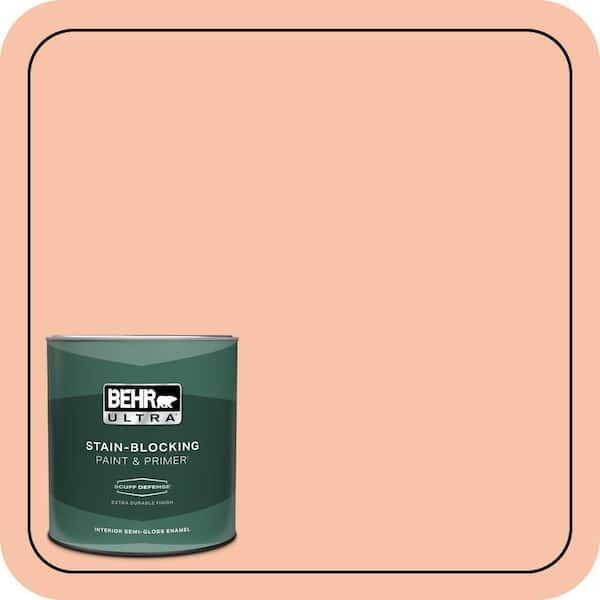 BEHR PREMIUM PLUS #240C-3 Peach Damask Enamel & Primer Color Sample (3)