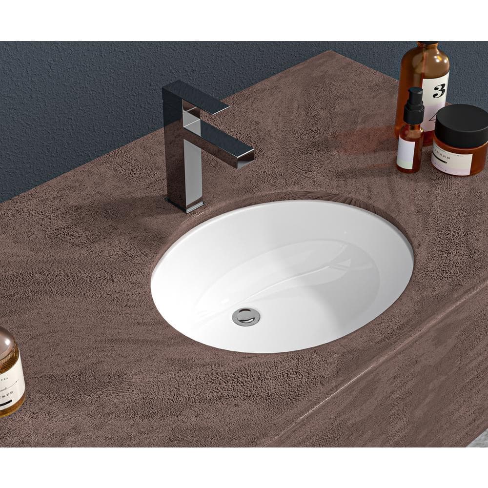 Unbranded AquaVista 19 in. x 16 in. Ceramic Oval Undermount Bathroom Sink in White with Overflow (3)