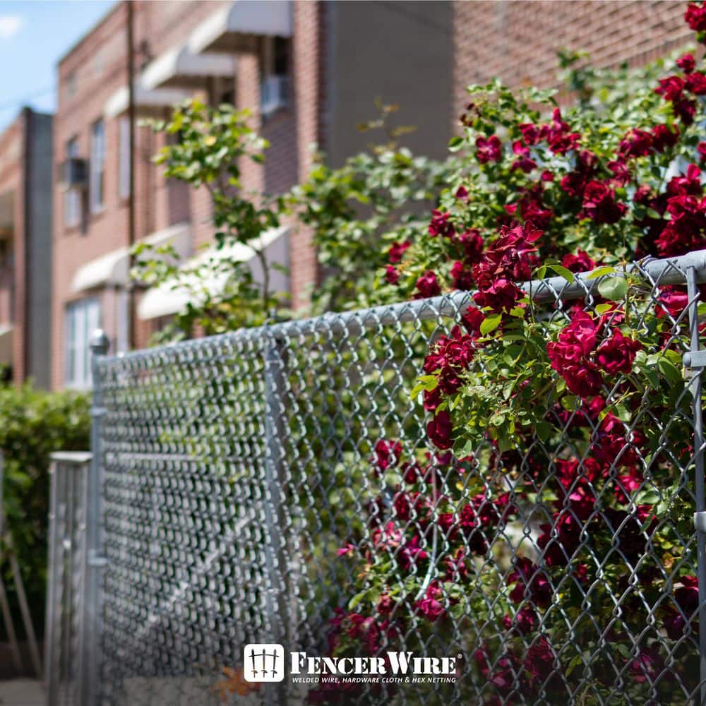 Fencer Wire 2-3/8 in. Chain Link Fence Silver Galvanized Steel Brace Band with Bolt and Nut (Single) (2)