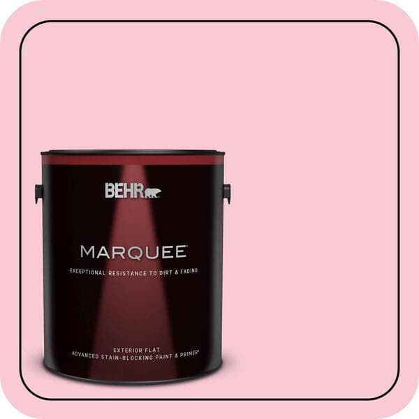 BEHR PREMIUM PLUS #110A-3 Palace Rose Enamel & Primer Color Sample (4)