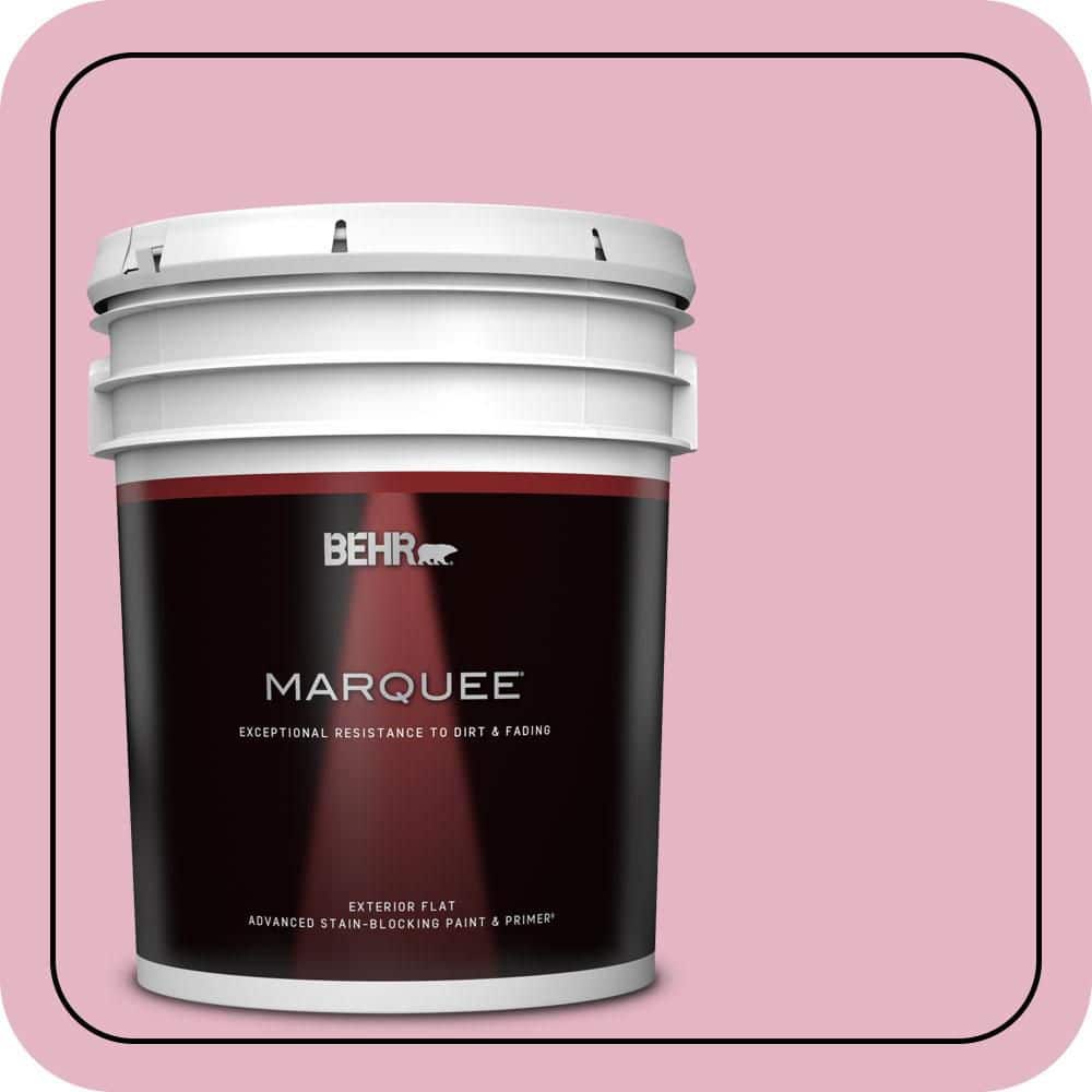 BEHR PREMIUM PLUS 5 gal. Home Decorators Collection #HDC-SP16-10 Japanese Rose Garden Semi-Gloss Enamel Low Odor Interior Paint & Primer (1)