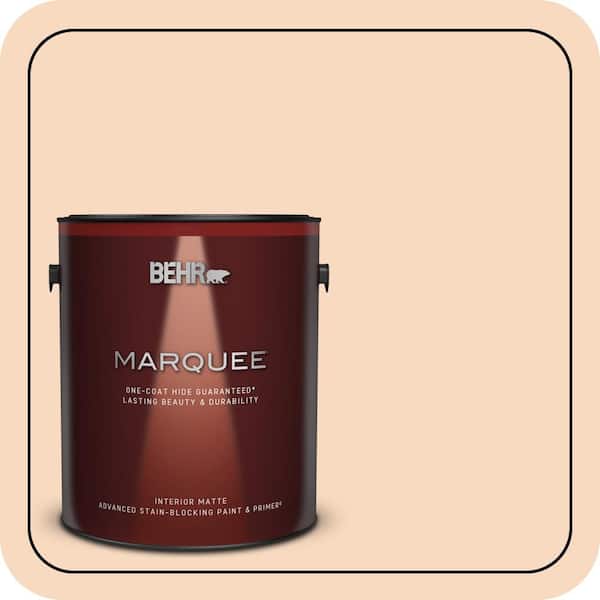 BEHR PREMIUM PLUS #M220-2 Pumpkin Essence Flat Interior/ & Primer Color Sample (3)