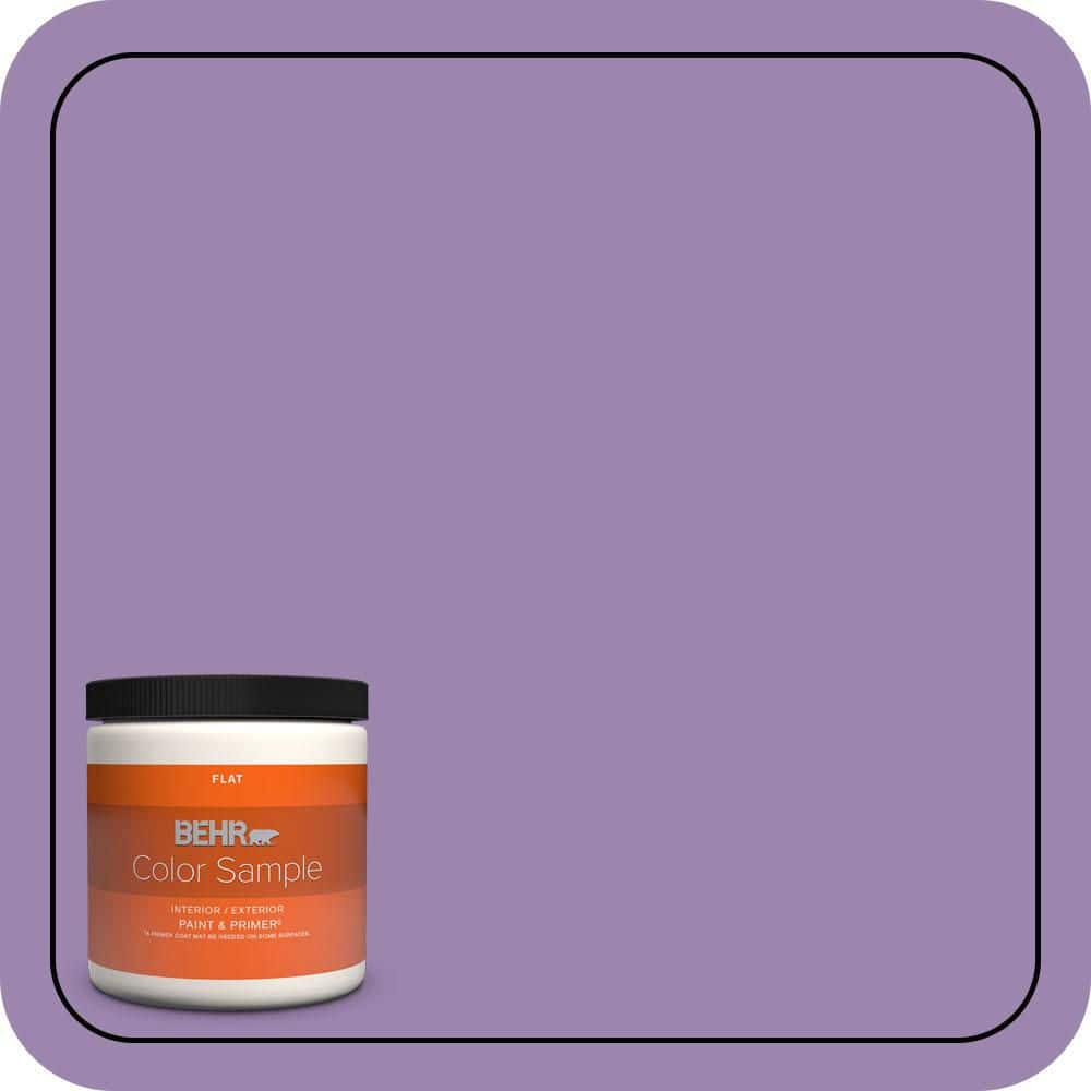 BEHR PREMIUM PLUS 8 oz. #M570-5 Celeb City Flat Interior/Exterior Paint & Primer Color Sample