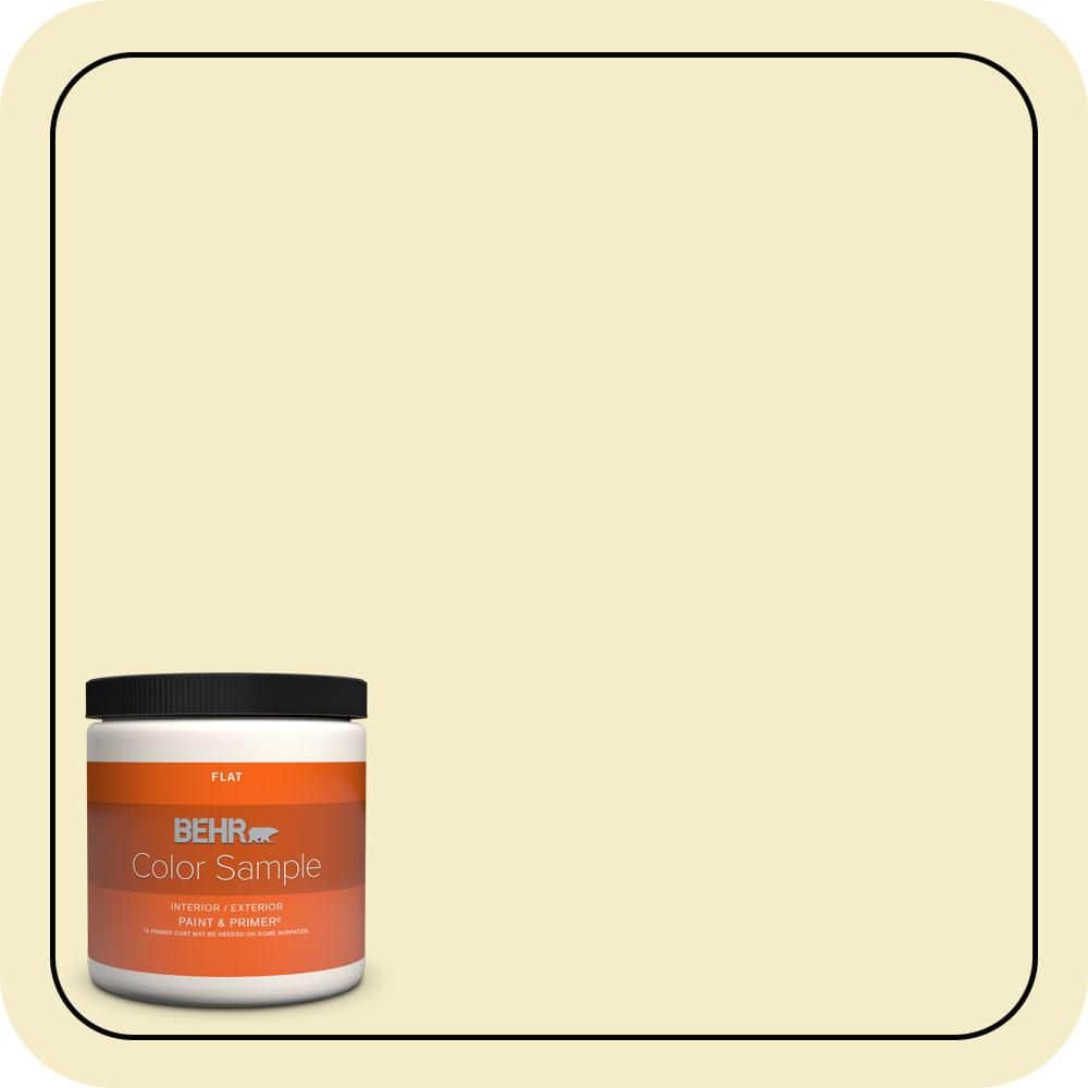 BEHR PREMIUM PLUS #390E-2 Starbright Exterior Stain-Blocking Paint & Primer (1)