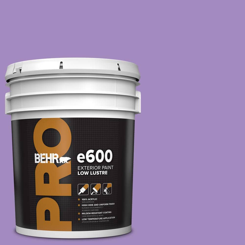 BEHR PRO 5 gal. #P570-4 Classic Bouquet Low Luster Exterior Paint