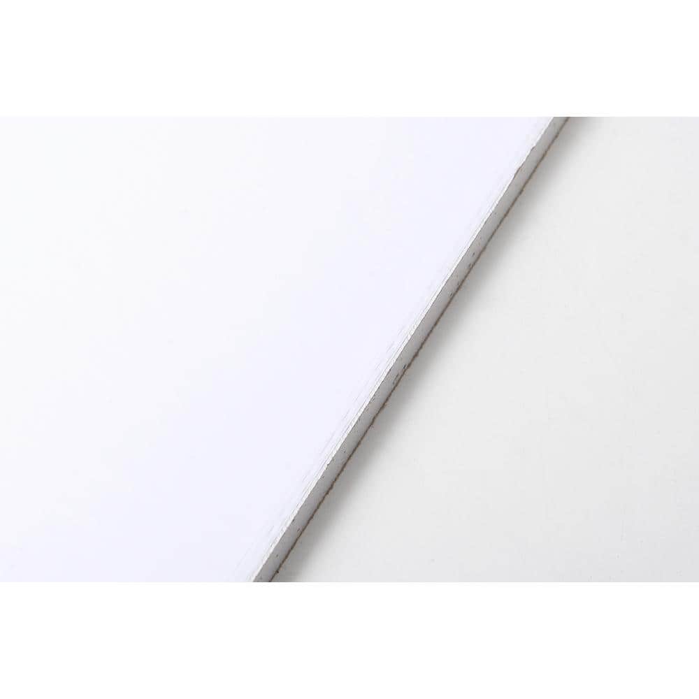 NOVA CEILINGS 2 ft. x 4 ft. Lay-in Ceiling Panel (2)