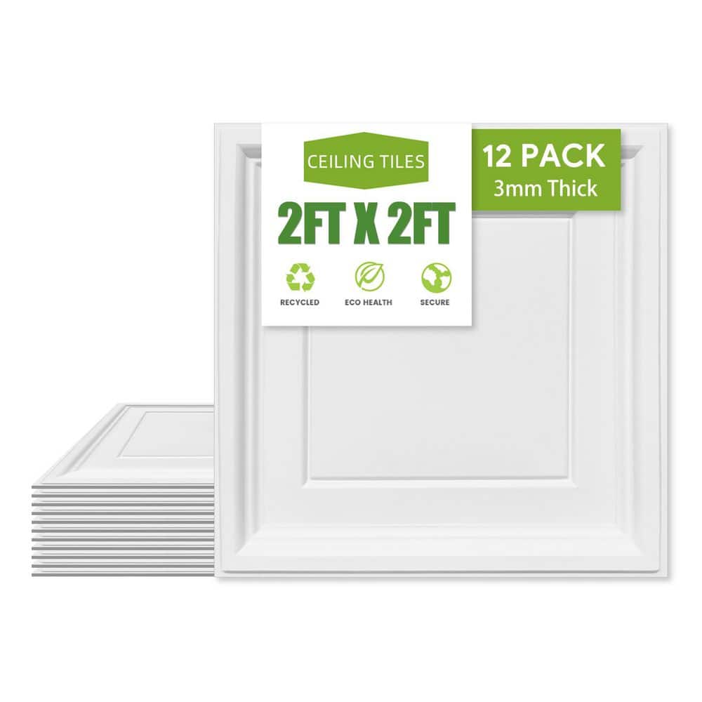 Gigrwiin White 2 ft. x 2 ft. Decorative Textured Ceiling Tile 48 (sq. ft. / case) 12-Tiles (3)