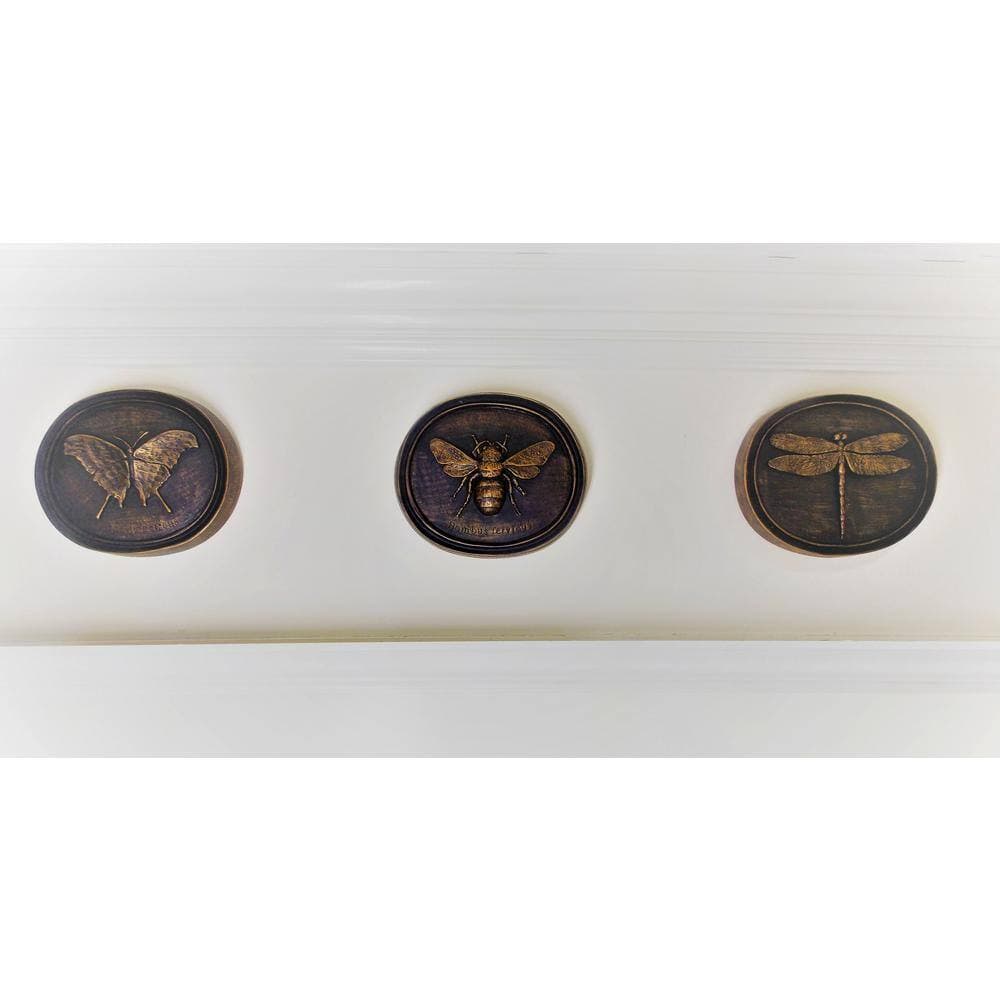 Unbranded Oval Entomology Plaques (Set of 3) (3)